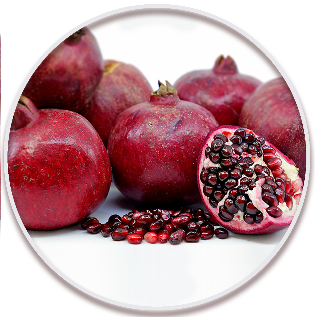 انار کاشمری (Pomegranate)